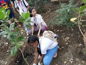 Nature club_ Ashik nagar (7)